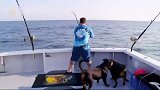 捕鱼生死斗：有鱼上钩了，所有人几乎第一时间冲到甲板上！