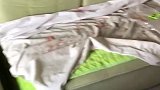 求狗肉火锅做法晚上自带碗筷