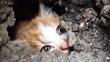 猫咪你躲那里面干嘛：