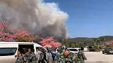 佛山高明突发山火！持续24小时，千人扑救500余人疏散