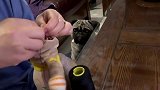 大夫，你一定要救活它啊