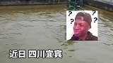 四川屋顶竟然能养鱼，这是什么特色习俗