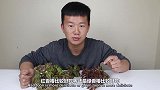 香椿好吃又营养，红香椿和绿香椿哪种味道更好吃，你们知道吗？