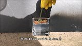 硫酸有多可怕？老外作死将水蛭扔进去，下秒尴尬了！