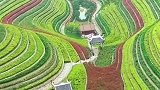国内的梯田之美世界第一，还有说比中国好的么