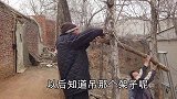 姑爷和老丈人合力修装猪台，两人一见面就抬杠，一旁妈妈乐开花