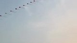 大爷脚踩平衡车放风筝，松弛感拉满。网友：我看到了风筝筝筝……