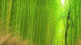 想去的地方，一定要带心爱的人去。风景 风景 立春