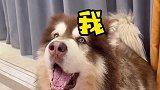 今天小棉袄终于不漏风了~