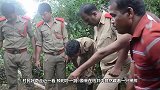 男子野外发现“无头狼”，没嘴吃饭骨瘦如柴，惨样让人落泪！