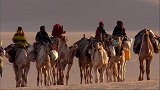 沙漠上生活的人有多难，几个女人长途跋涉去售卖骆驼
