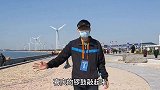 实拍山东荣成渔民开洋谢洋节祭海仪式，8头肥猪等贡品，非常隆重
