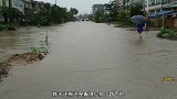 连日带夜下大雨，河水猛涨鱼也多了，路边抓鱼河里锚鱼