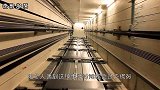 电梯急速下坠，落地前跳一下可以活命吗？