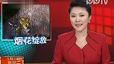 实拍厦门金门同放烟花共庆新春