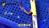 为了不买单，生生冻出关节炎！