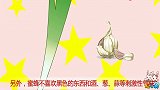 兔小贝：男孩带着大葱散步，气味太难闻，把蜜蜂给惹怒了