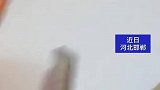 当南方人到北方就餐，被北方的菜量惊到