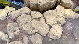 我见青山多妩媚，料青山见我应如是