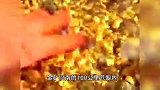 沙特发现世界级金矿