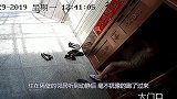 男子骗开女子家门，想对她女儿欲行不轨，退伍老兵赶紧帮忙