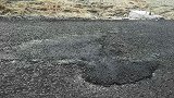 日本发生地震时，公路上都在中间裂开，不得不佩服他们的智商