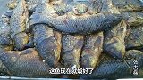 盘点河南5大重口味美食，很多人都享受不了，胃浅的人别看了