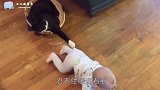 宝宝一口含住猫咪尾巴，猫咪正想发怒，回头见是小主人秒变初恋脸