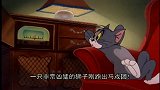 猫和老鼠：汤姆是搞军事演习嘛，在家拿枪要打人，不怕主人打你？