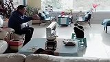 家里的指挥家和小猫咪，真挺像那么回事