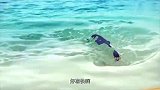 帮帮龙：滑齿龙回不去大海了，现在皮肤干燥，有生命危险