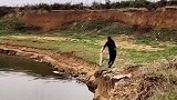 你只管撒, 剩下的交给网就行了