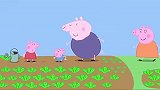 小猪佩奇在猪爷爷的花园，种下了草莓种子，却一直等不到它发芽