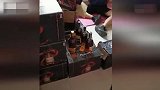 拼多多商家被曝售卖假洋酒 警方：已证实