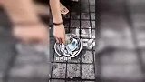 爆笑合集；说好的撒娇女人最好命呢？