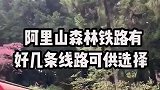 去台湾一定要做的六件事