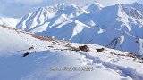 雪豹悬崖捕食不慎坠崖，被人发现时，已经成了这副模样