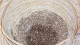这个超级食物奇亚籽 低升糖富含蛋白质和水溶性膳食纤维，营养密度高，自律女生安排起来减脂餐