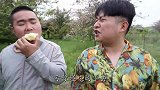 三三设局戏耍憨头，这智商也是无敌了。