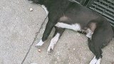 想睡个觉怎么这么难呢