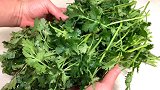 保存香菜别再直接放冰箱！简单2步，不烂叶不发黄，半年都新鲜