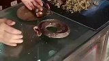 女子去药店抓中药，不看不知道，一看吓一跳