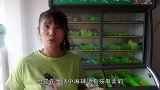 麻辣烫怎么吃最划算？小店老板不小心说出实情，听完涨知识了！