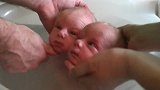 双胞胎新生儿在一个桶里洗澡，紧挨着彼此，好萌好治愈啊！