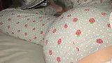 这胎动太厉害了，是不是在收拾行李准备搬家呀