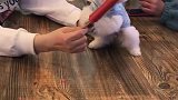 这是什么神仙萌物
