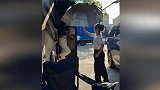 杨幂穿露脐装马甲线清晰可见 男助理疑忍不住盯着看