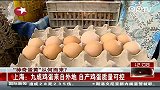 “神奇蛋黄”从何而来？