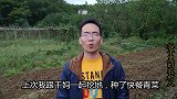 中秋之前挖地播种的青菜，已经有7天了，看一看长出来没有？