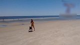可爱的狗狗，在沙滩上追着主人跑，真是太好玩了！